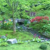 japanesemay2014