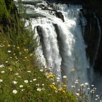 snoqualamiefalls2011summer