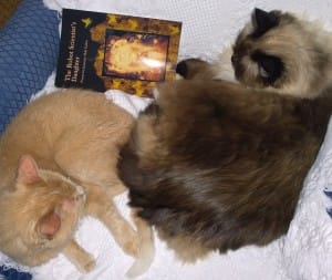 catswithrsd