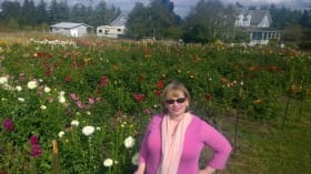 j9dahlias92015